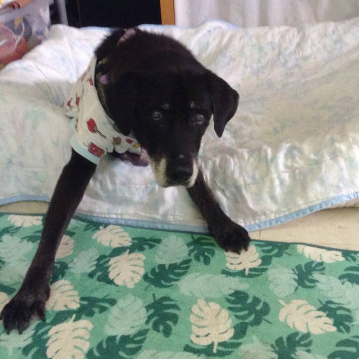 0a998167 01fe 4bba 8b40 55f3efef4702