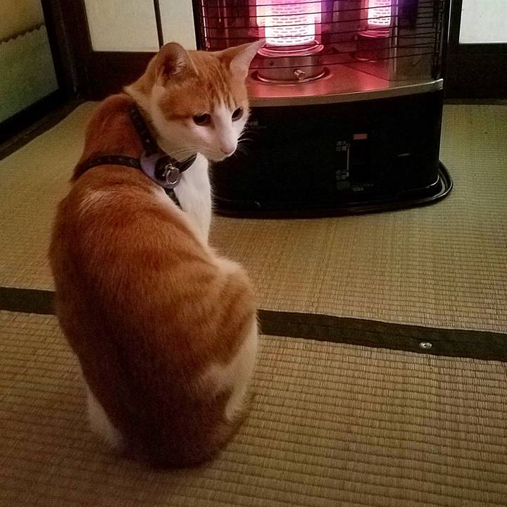 0a99d69e 5bdf 47f5 9c2e c25ae2f44cb7