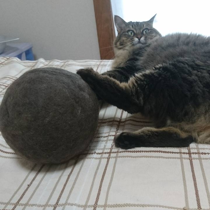 0a9a7b30 d6f3 4c39 bc7f c544a686960d