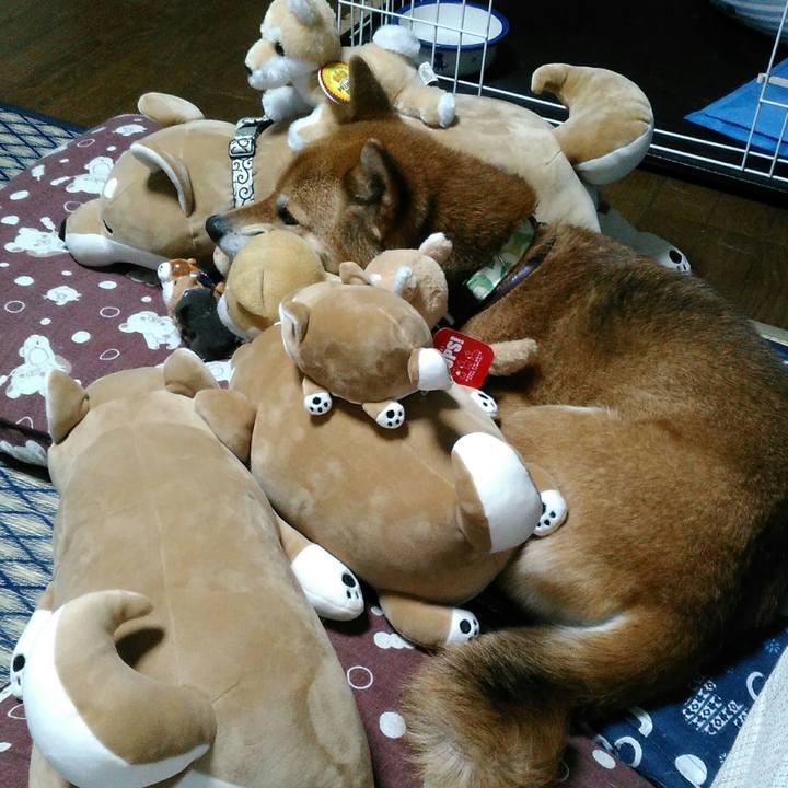 0a9afa94 9284 402c 9940 f2c63e48bed4