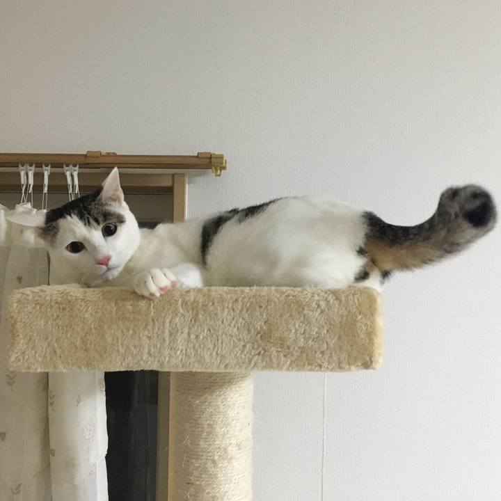 0a9b7684 db86 4ab2 9f77 66ddd3d45804