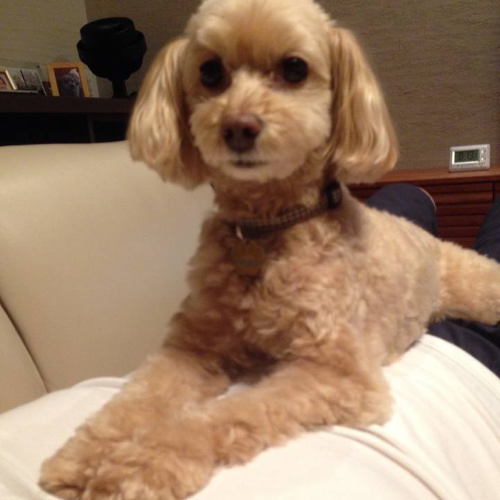 0a9bb029 e8a8 44fe 98c7 9e526f46e032