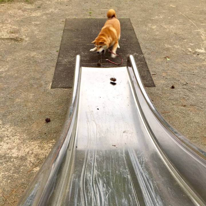 0a9bb542 a5a6 477b a96e 6125145221e0