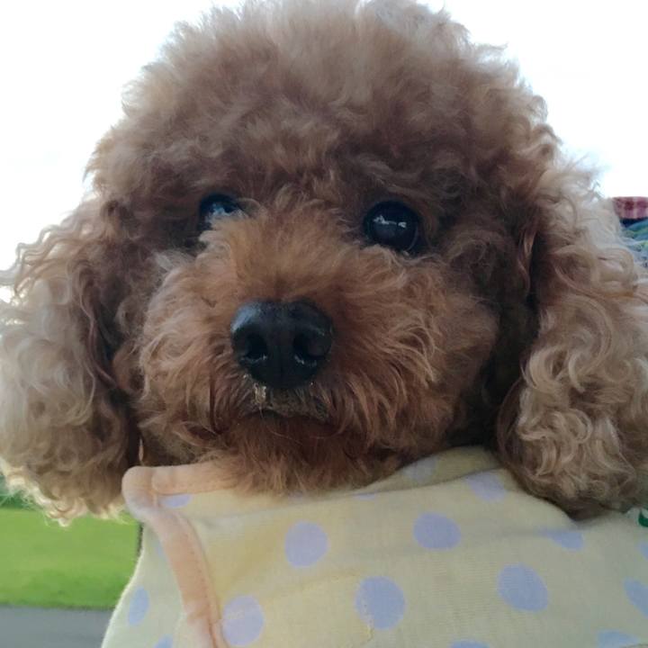 0a9c4d63 bf98 4451 a924 012ad84e0675