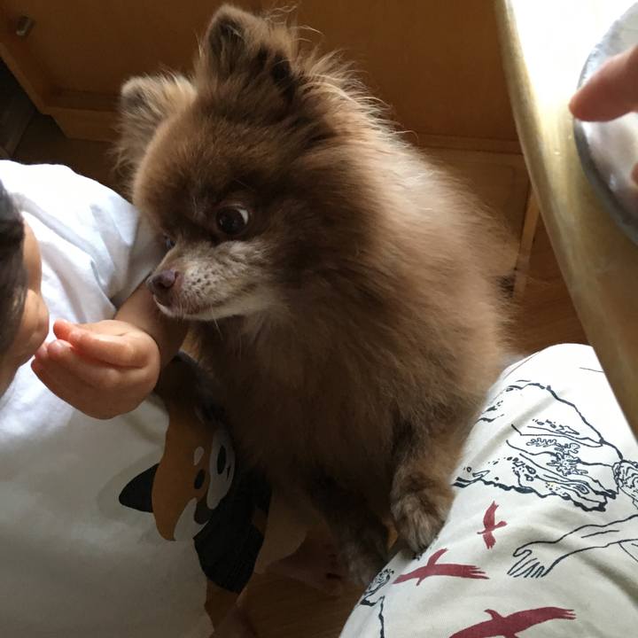 0a9c7bec 0273 4dbd 8f36 d99b8149e688