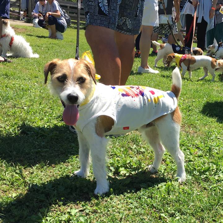 0a9ca70c df27 4580 8bf7 4f029a5cef6f