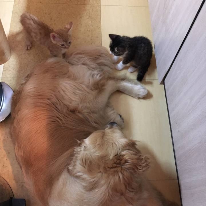 0a9cad12 650e 4df8 bce4 ecb7b4d09d6a