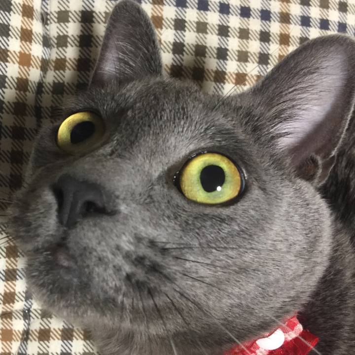 0a9cba51 650b 49d8 80f0 db5fa5bd3747