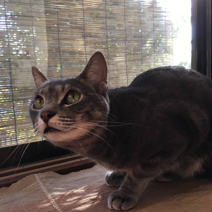 0a9d1834 a564 497f 88ef f523891473bc