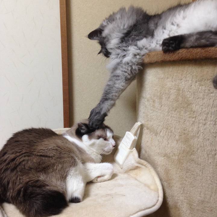 0a9d260f 0ae3 472f 953b 38aba57fb92f