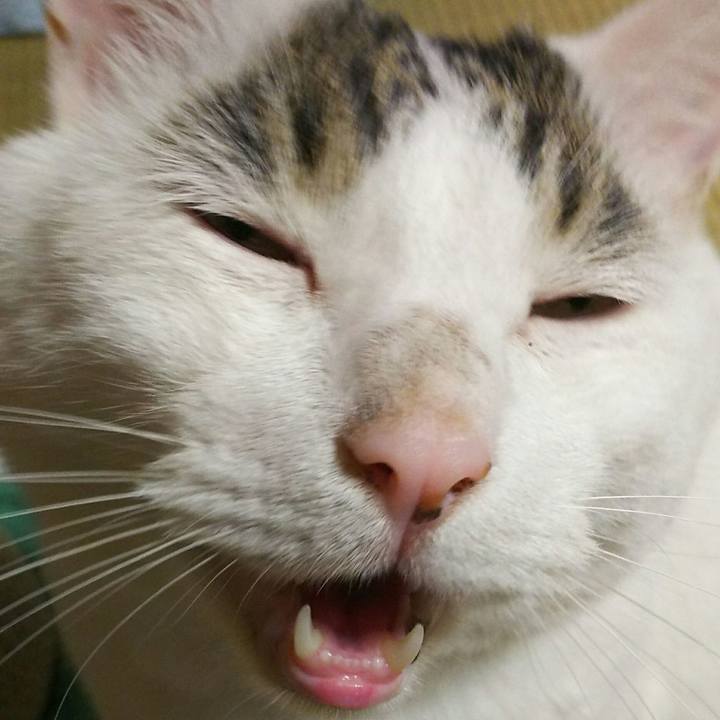 0a9dc39d abe4 4882 87c0 339d6aa28ffd