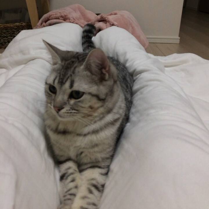 0a9dceb6 ea60 41e0 909c 18ea346df1aa