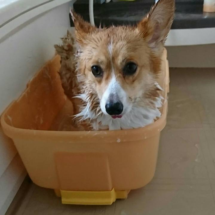 0a9e4fc9 c4e5 409a 9217 662202517a71