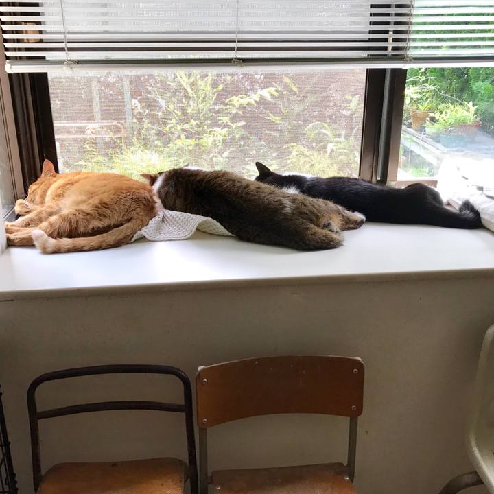 0a9e718a efc4 43cc 9d8f 9d944fad2f8a