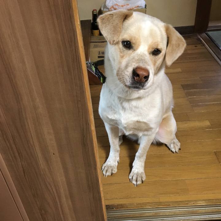 0a9f0459 57f4 4ded b713 7b74f557dfdd