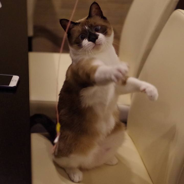 0a9fe361 eb9d 4222 b7e7 949321bc1a20