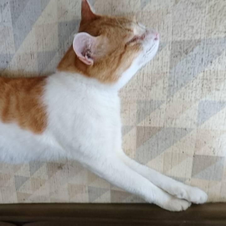 0aa107ec faf8 4a1e b4f2 352b41712833