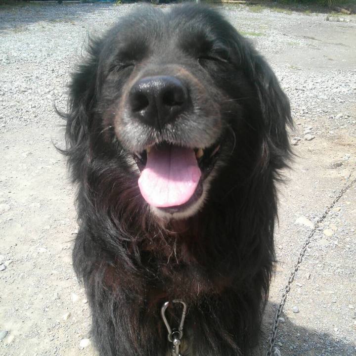 0aa10cab 9b83 47be a737 448d8e3b5591