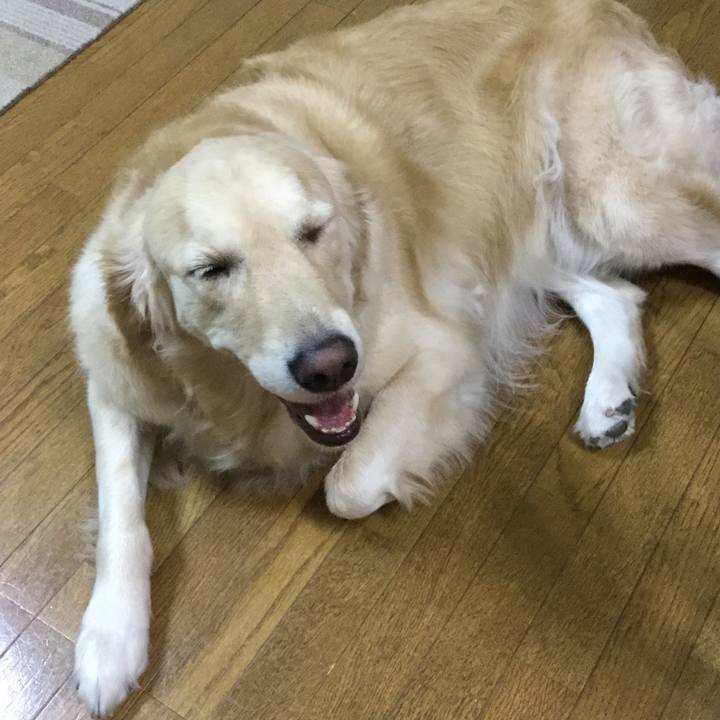 0aa11465 5ae9 4d67 acd3 a0945ab1b24e