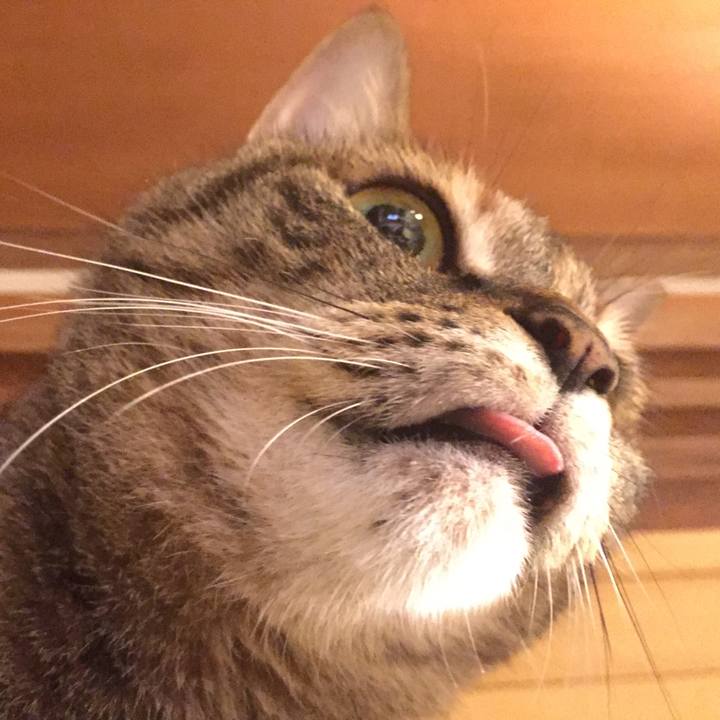 0aa134ff 79f0 4a4f 8faf f6d77278ac06