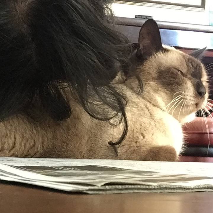 0aa16f12 25c4 44a6 b54f 8345d3ac2802