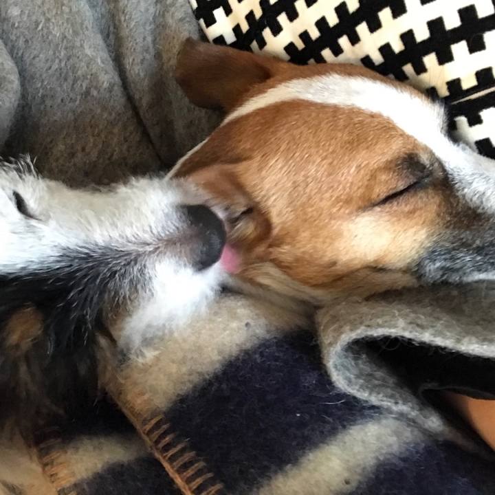 0aa18ad3 9f43 4711 8723 fdae913977f4