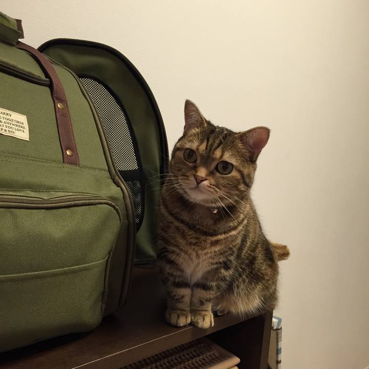 0aa20fb3 e68a 4275 b950 8eb18445efee