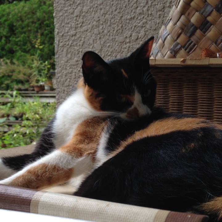 0aa23ce5 61a6 4702 8c4d 19a88ef896ea