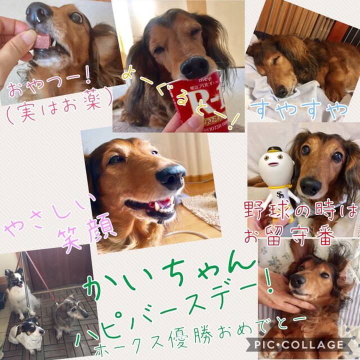 0aa269ba 948c 4884 9300 ced23990f07f
