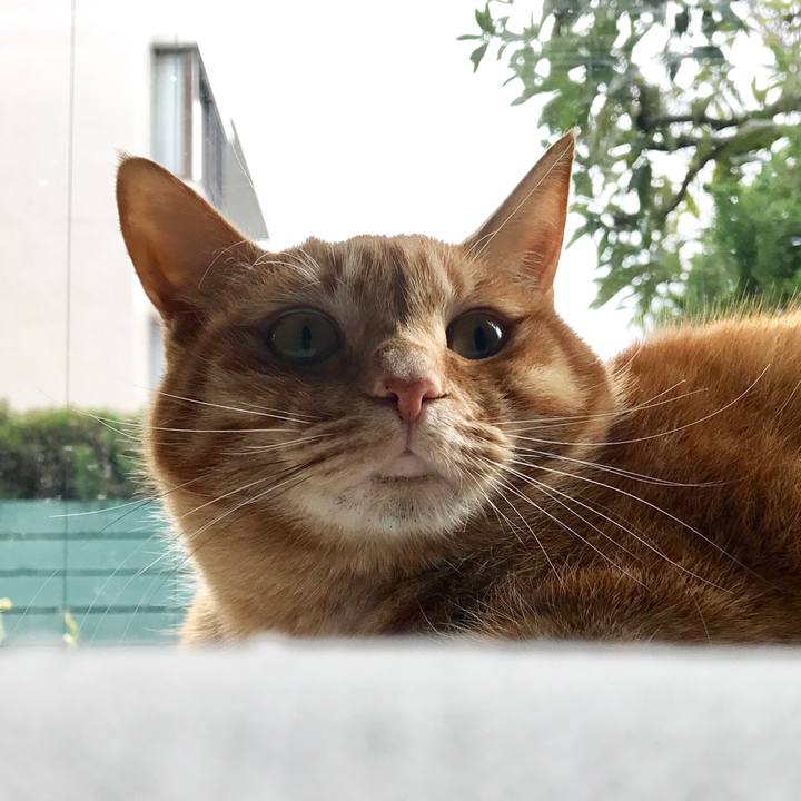 0aa29742 7561 4db4 ab0c 5f00c6421151