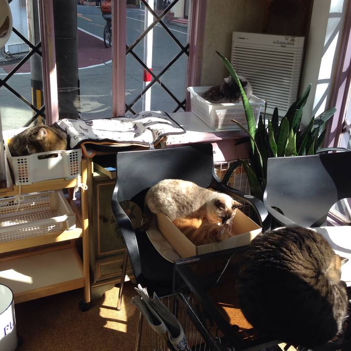 0aa302d4 0e90 45e0 8129 142e48421259