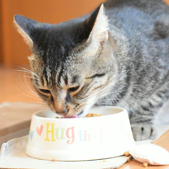 0aa3d37c 412c 4b79 9eb5 4ca09deb08b7