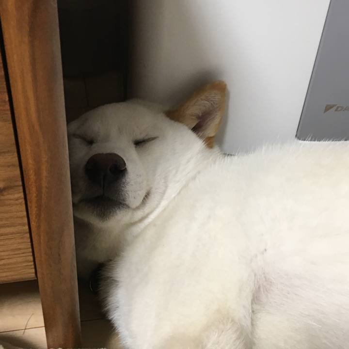 0aa3df81 0706 45b6 b13f 20045f95f620