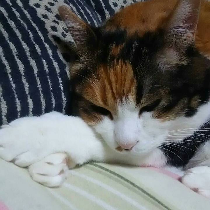 0aa3eef0 5865 49be 8c70 a61845f3bb3a