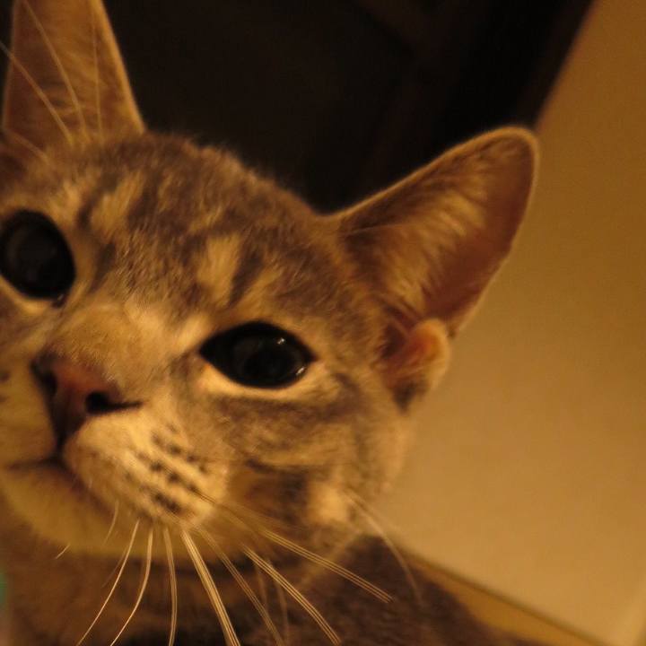 0aa3fb3e 5e17 41df a498 f2476d5e0242