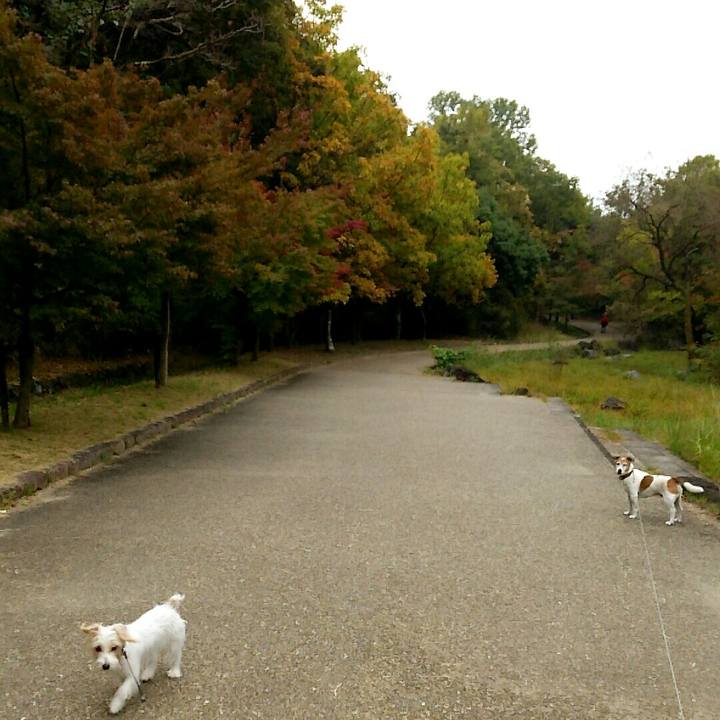 0aa43227 acbb 4834 b356 c22dd8de15c9