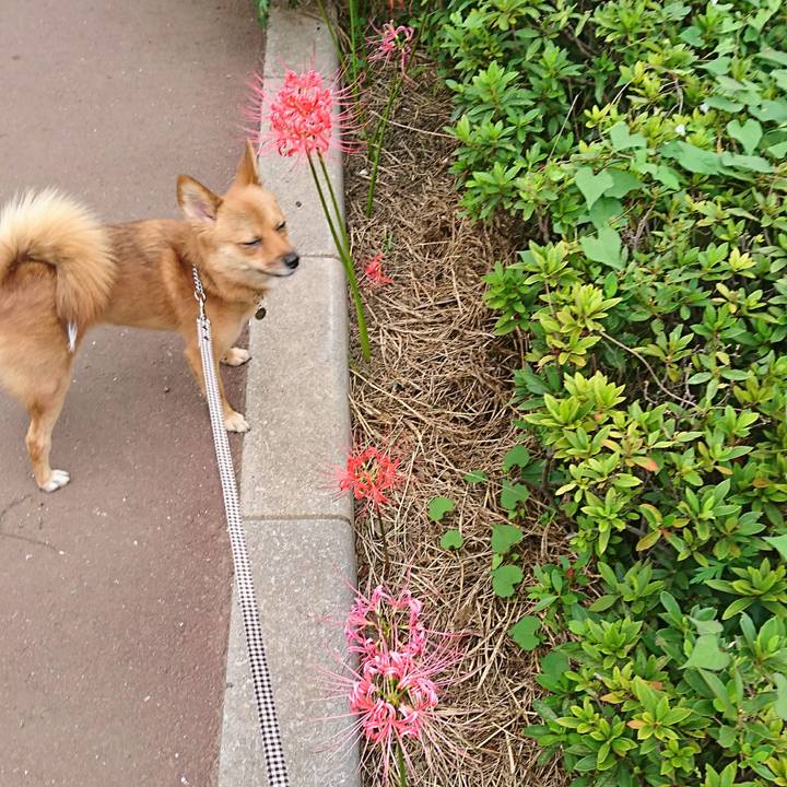 0aa4b512 bd98 4a07 af4c 0de6195657e6