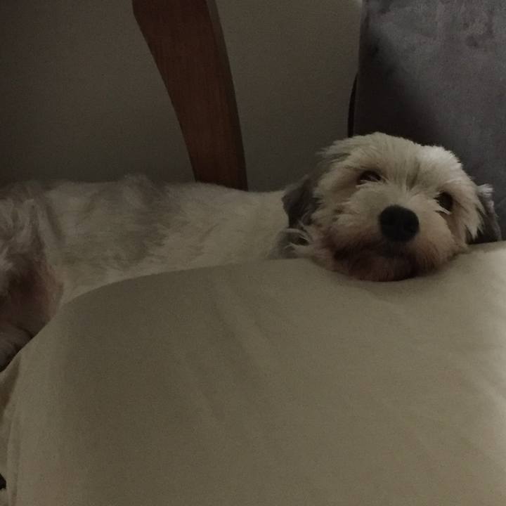 0aa51781 20b9 4b6e 8994 36135b246001