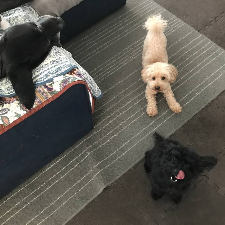 0aa55bbe 8f06 472c aa6d 4adc14da0504