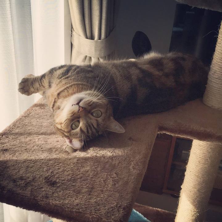 0aa5cf40 ee33 4b62 8308 a549efbb17cc