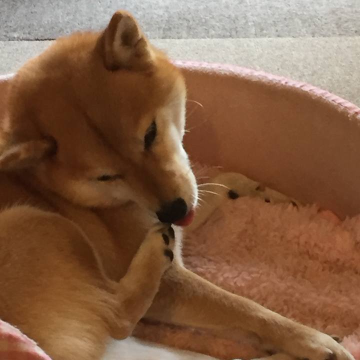 0aa5dd65 3d14 4b0d bd34 e19acdb45535