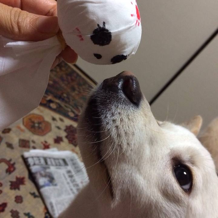 0aa655a8 aa9f 45f5 aa1b d6fa72bce9e2