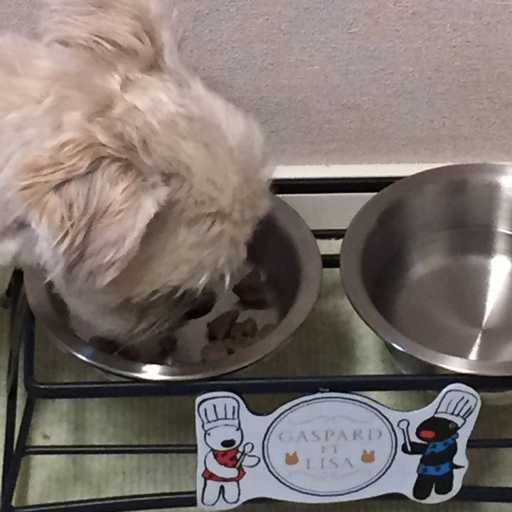 0aa65a22 abb6 4def 8571 4bfe7a834a09