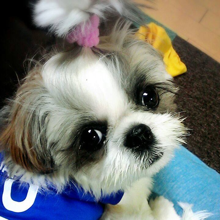 0aa69b93 fa91 461d b86b 5a51d6ea8bb9