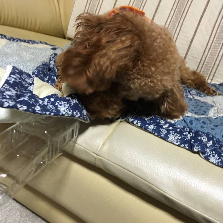 0aa73db2 7ab1 4e26 8600 dfdd18c30d22