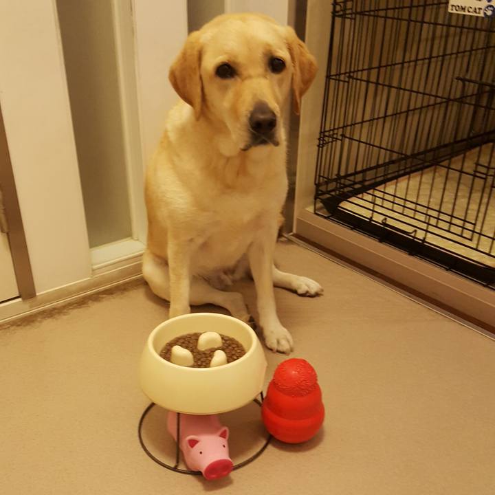 0aa7f698 57c6 467c 99ae 11e3debb778c