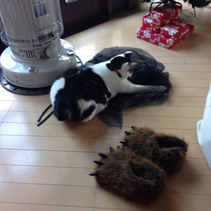 0aa8c283 7040 4ceb a137 eaf0208e4525