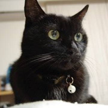 0aaa9f17 6a2e 4b99 a02b 98896fc266af