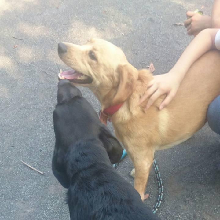 0aaab707 682e 44c2 af55 9b7c4f8b0471