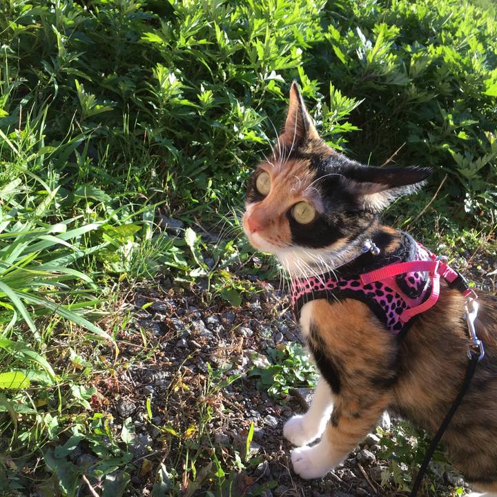 0aab5a3b a611 4111 8e39 89946f85bd2e